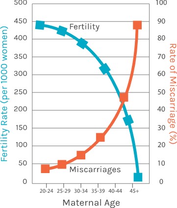 Miscarriage Percent Chart