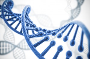 reproductive medicine